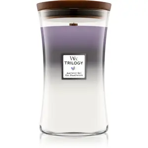 Woodwick Trilogy Amethyst Sky vonná sviečka s dreveným knotom 609.5 g