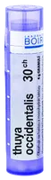 BOIRON Thuya Occidentalis CH30 granule 4 g