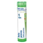BOIRON Bellis perennis 5CH 4 g