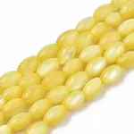 Natural Freshwater Shell Beads Strands