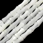 Natural Trochid Shell/Trochus Shell Beads Strands