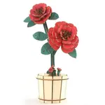 Kamélie dřevěná 3D