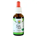 SALVIA PARADISE Gotu kola AF tinktura 50 ml