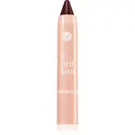 Yves Rocher Le Brillant hydratační rtěnka v tužce odstín 10 Prune Tendre 2.2 g
