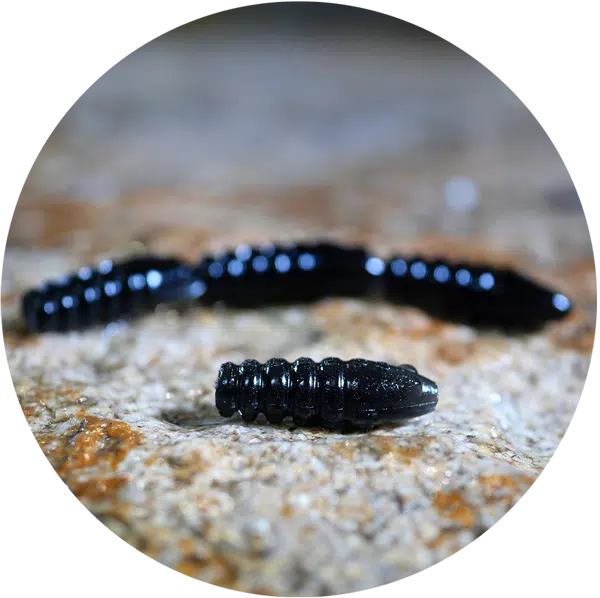 Redbass gumová nástraha trout grub black - 3x33 mm