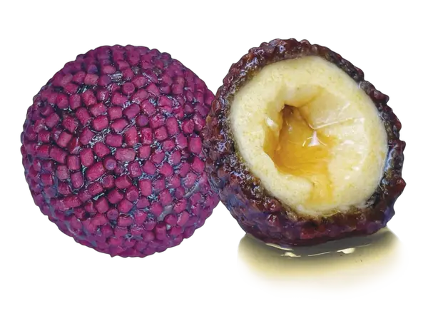 Lk baits boilie nutrigo pellets red halibut - 20 mm 200 ml