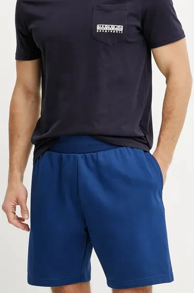 Kraťasy The North Face Easy Regular