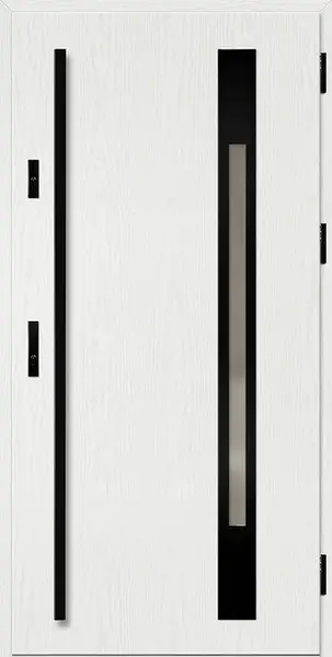 Ocelové vchodové dveře WELS 3
