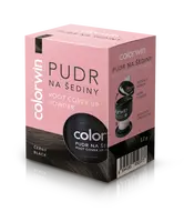 Colorwin pudr na šediny a odrosty černý 3.2g