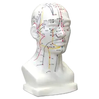 Hwato Akupunkturní model hlavy, 19 cm