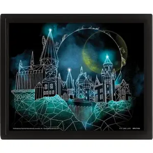 3D obraz Harry Potter - Bradavice