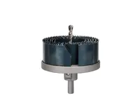 Bosch Príslušenstvo - 6-dielna súprava pílových dieroviek 2608584063