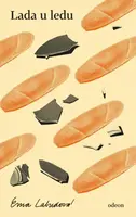 Lada u ledu (Defekt) - Ema Labudová