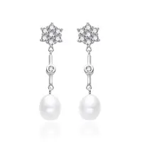 Agato Stříbrné visací náušnice se zirkony a perlou AGT-E143PW-P