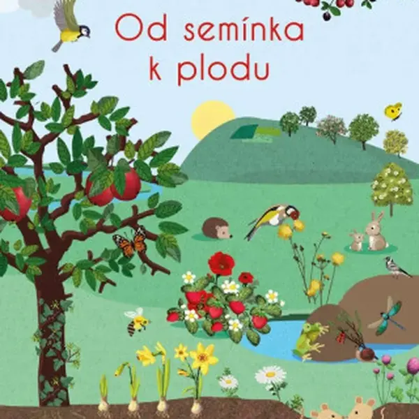 Od semínka k plodu (Defekt) - Colas des Francs Nicole