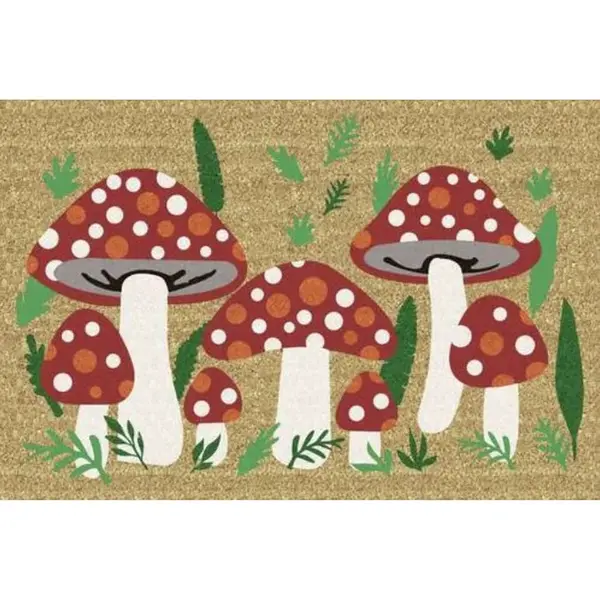 KOKOSOVÁ ROHOŽKA, 40/60 cm