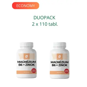 DR. FLEMING Magnezium B6+Zinok +10% gratis 220ks DUOPACK