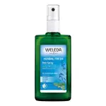 Weleda Šalviový deodorant 100 ml