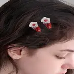 4Pcs Acrylic Alligator Hair Clips