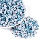 Picasso Glass Seed Beads