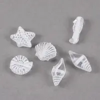 Craft Style Transparent Acrylic Charms