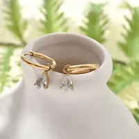 Ion Plating(IP) 304 Stainless Steel Micro Pave Cubic Zirconia Hoop Earrings