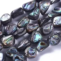 Natural Abalone Shell/Paua Shell Beads Strands