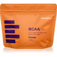 Voxberg BCAA komplex aminokyselin pro podporu sportovního výkonu příchuť Orange 490 g
