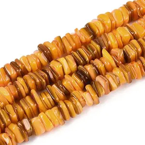 Natural Freshwater Shell Beads Strands