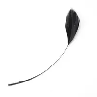 Fashion Goose Feather Costume Accessories