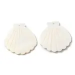 Natural Freshwater Shell Big Pendants