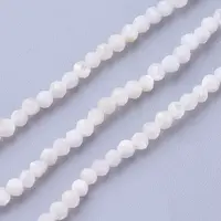 Shell Beads Strands