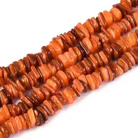 Natural Freshwater Shell Beads Strands