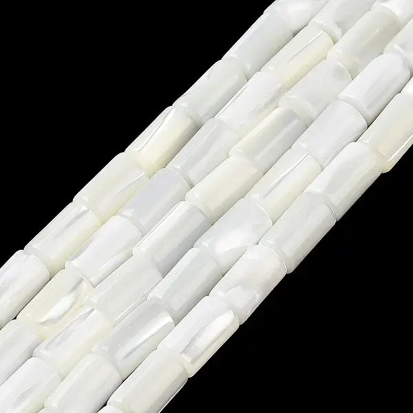 Natural Trochus Shell Beads Strands