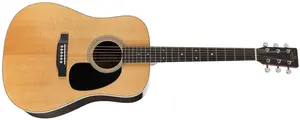 Sigma Guitars SDR-1