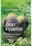 Kroky k usmíření - Eamon Tobin