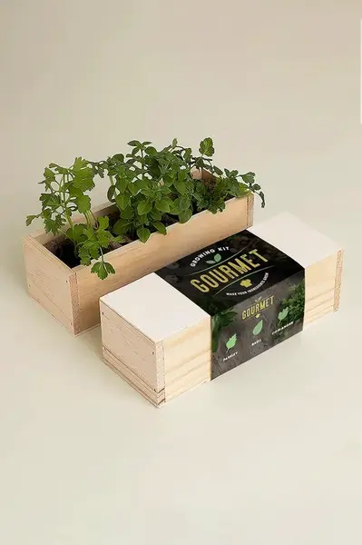 Sada na pěstování rostlin RESETEA Growing Kit 21 x 7,8 x 6,5 cm