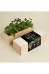 Sada na pěstování rostlin RESETEA Mojito Growing Kit 21 x 7,8 x 6,5 cm