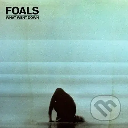 Foals: What Went Down (140Gr.) LP - Foals, Foals