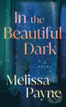 In the Beautiful Dark (A Novel) - Melissa Payne