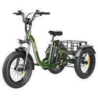 Vipcoo VC-ET1 Electric Tricycle 750W 48V 20Ah 40km/h