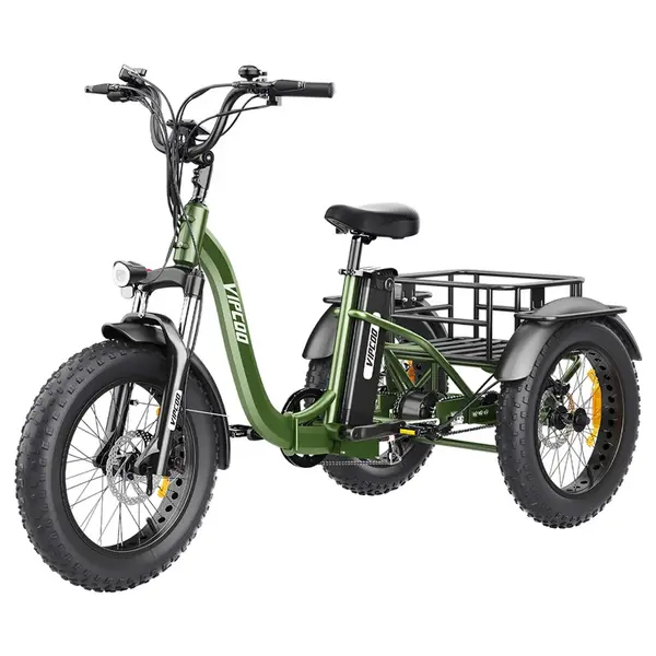 Vipcoo VC-ET1 Electric Tricycle 750W 48V 20Ah 40km/h