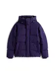 Tommy Jeans Zimná bunda  tmavofialová