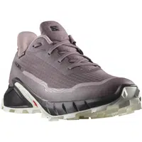 Salomon Alphacross 5 GTX EU 38, Moonscape/Black/White Dámské boty