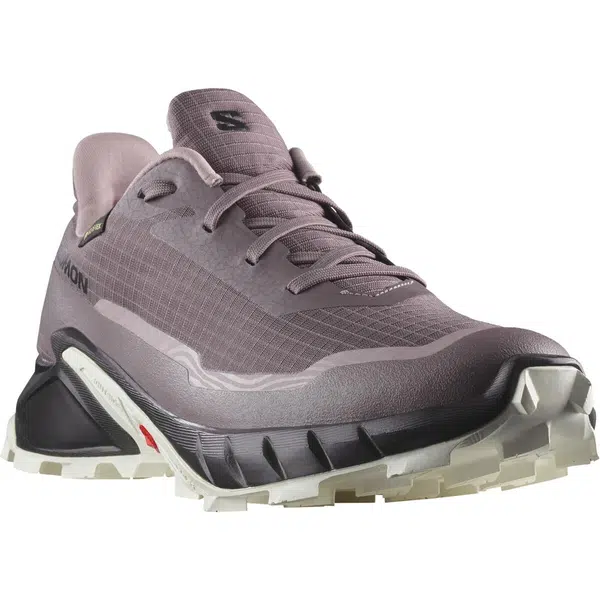 Salomon Alphacross 5 GTX EU 38, Moonscape/Black/White Dámské boty