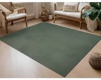 Koberec Albi 120x170 cm, zelený%