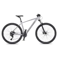 Horské kolo 4EVER Victory 29" - model 2025 M (17", 165-175 cm) silver pearl/black