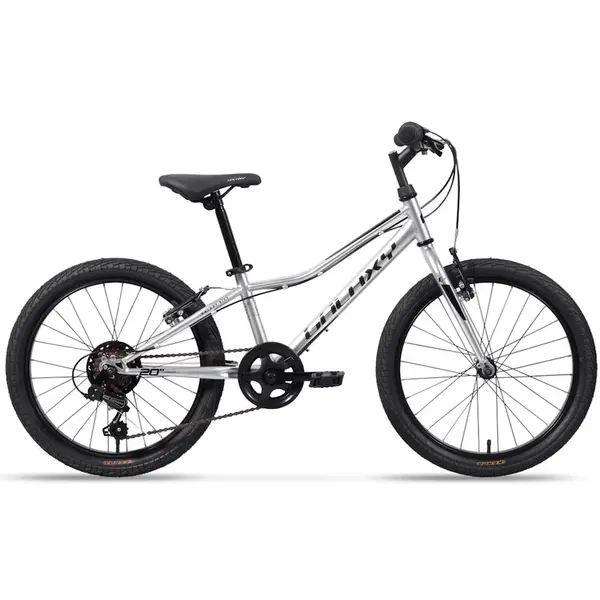 Dětské kolo Galaxy Neptun 20" 10.0 10" (113-135 cm) stříbrná