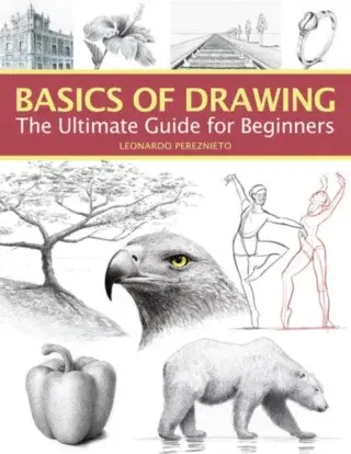Basics of Drawing - Leonardo Pereznieto