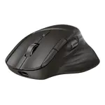 HP Ultra-Fast Scroll Wireless Mouse 785M EURO